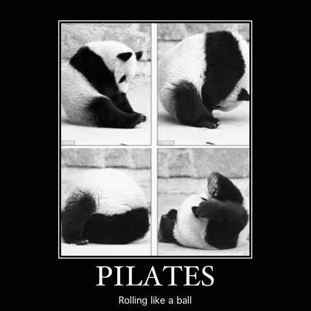 panda gets down with Pilates rolling like a ball